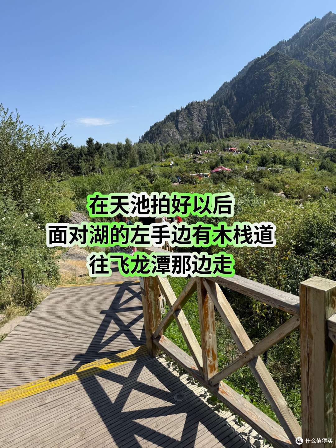 新疆带娃旅行,天山天池两小时速玩攻略