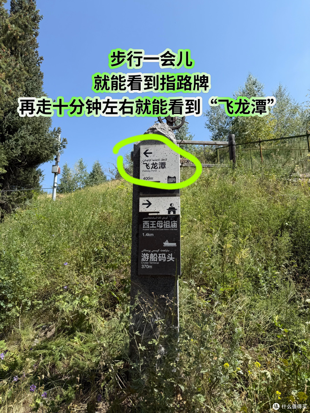 新疆带娃旅行,天山天池两小时速玩攻略