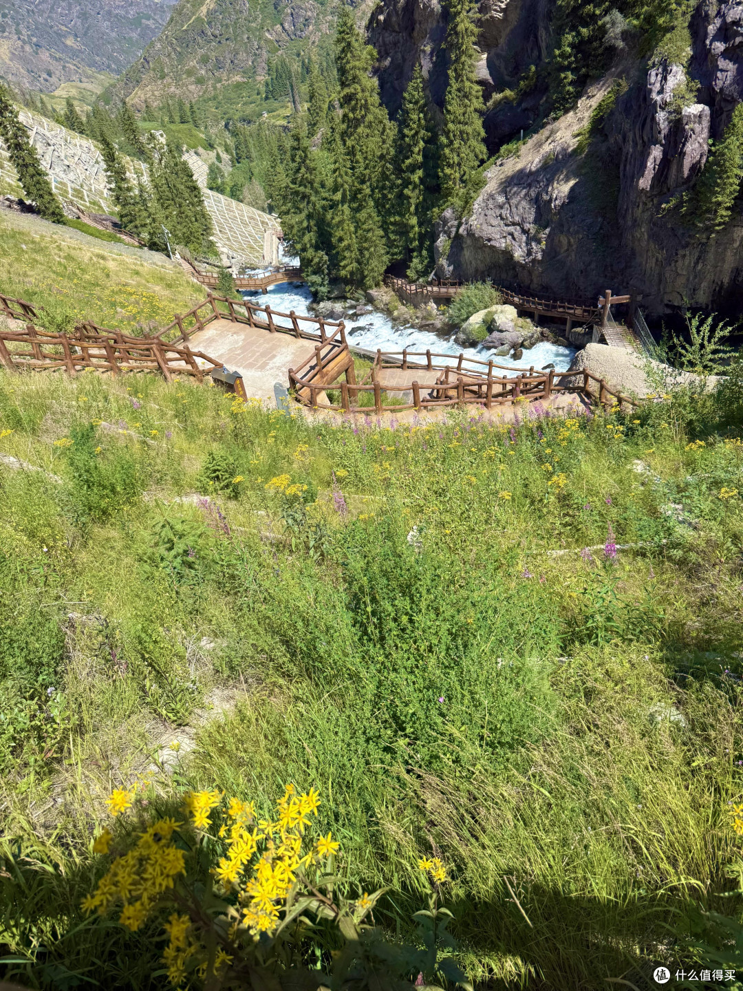 新疆带娃旅行,天山天池两小时速玩攻略