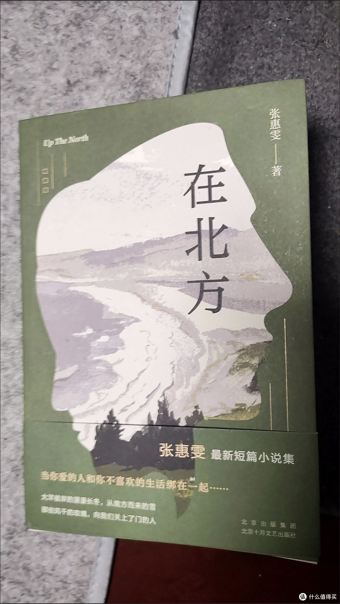 在北方(张惠雯  新短篇小说集)