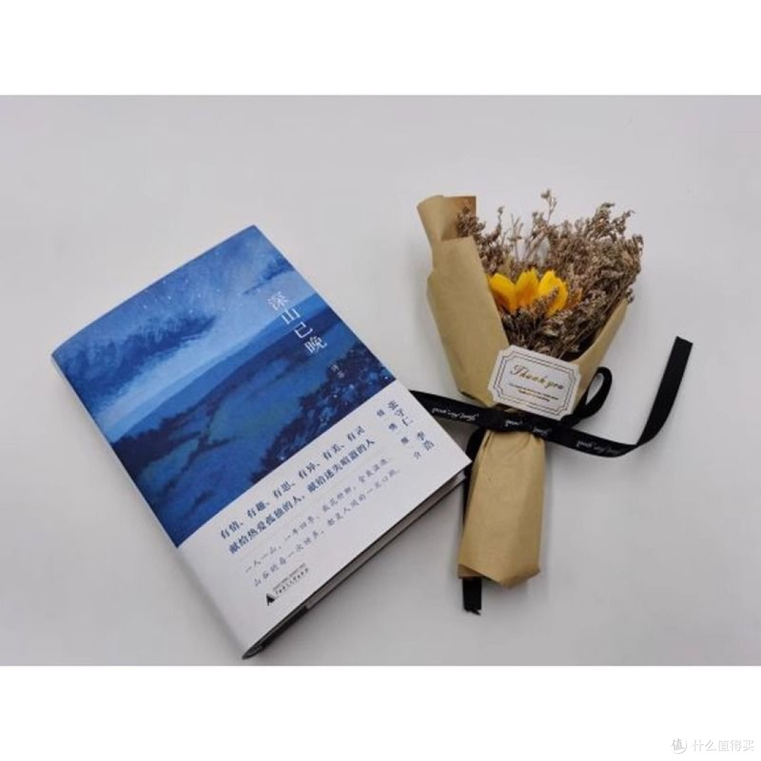 深山已晚(精) 生态深山山地美学 自然文学现代散文集 傅菲著