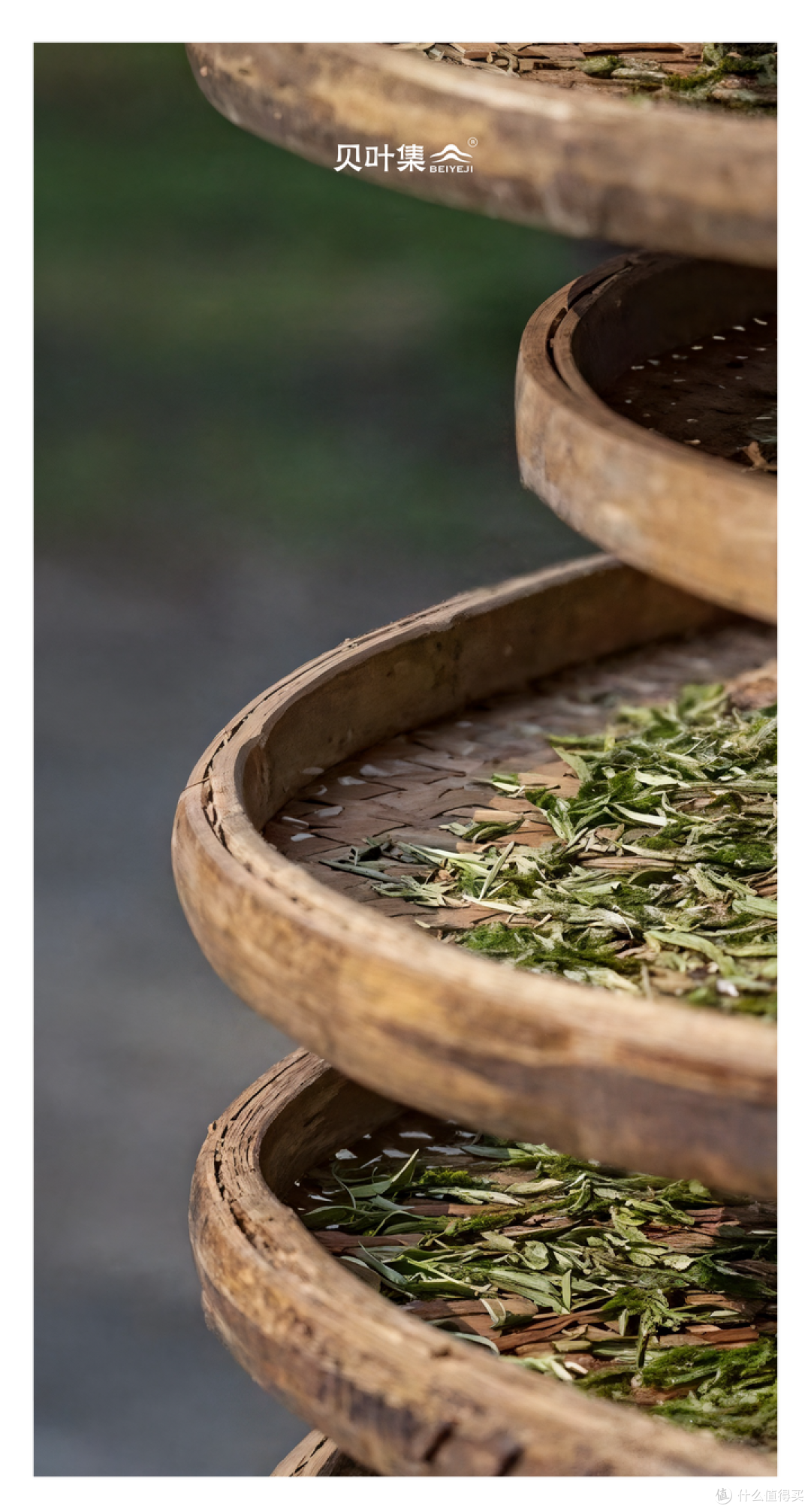 风味游，游八方
