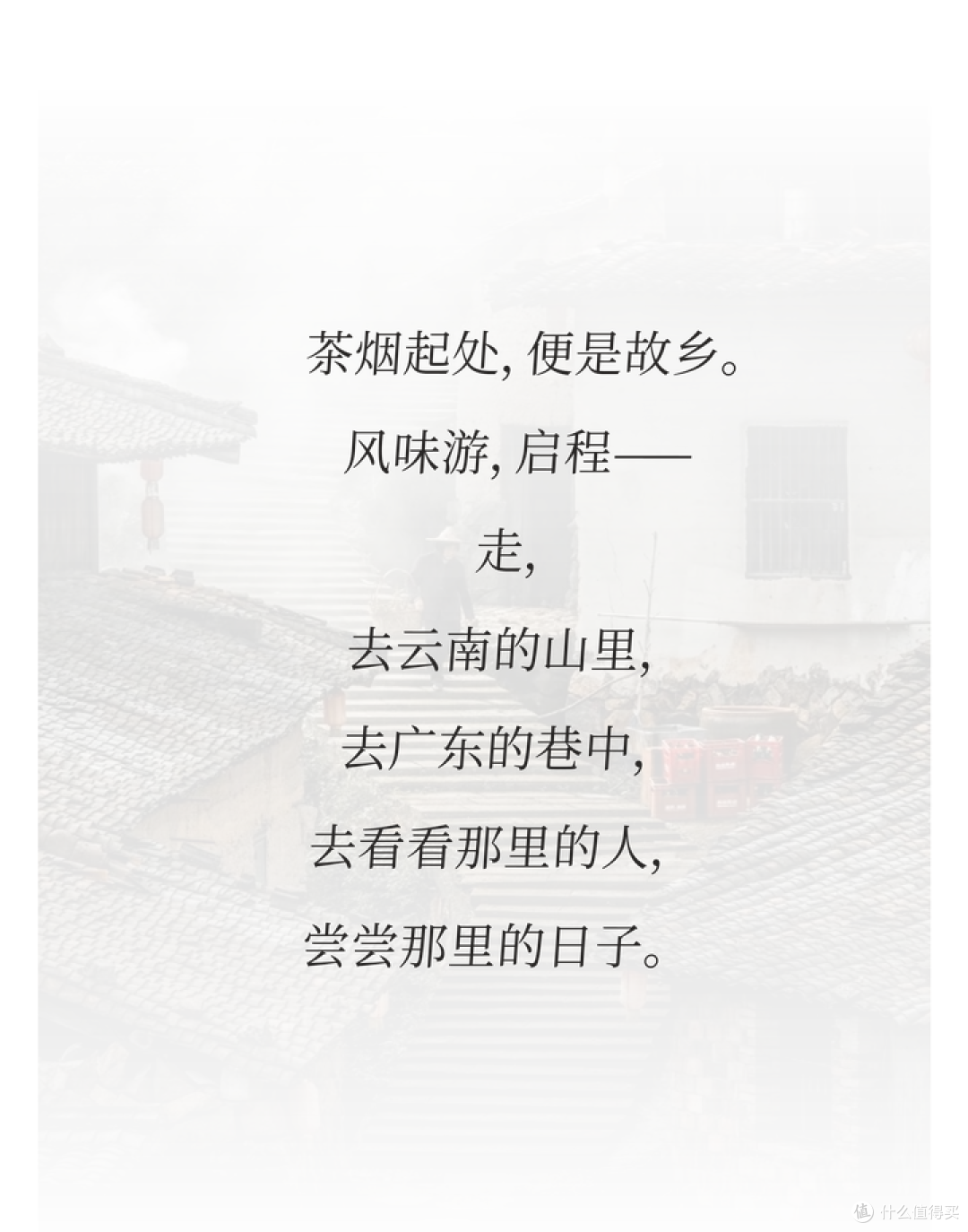 风味游，游八方