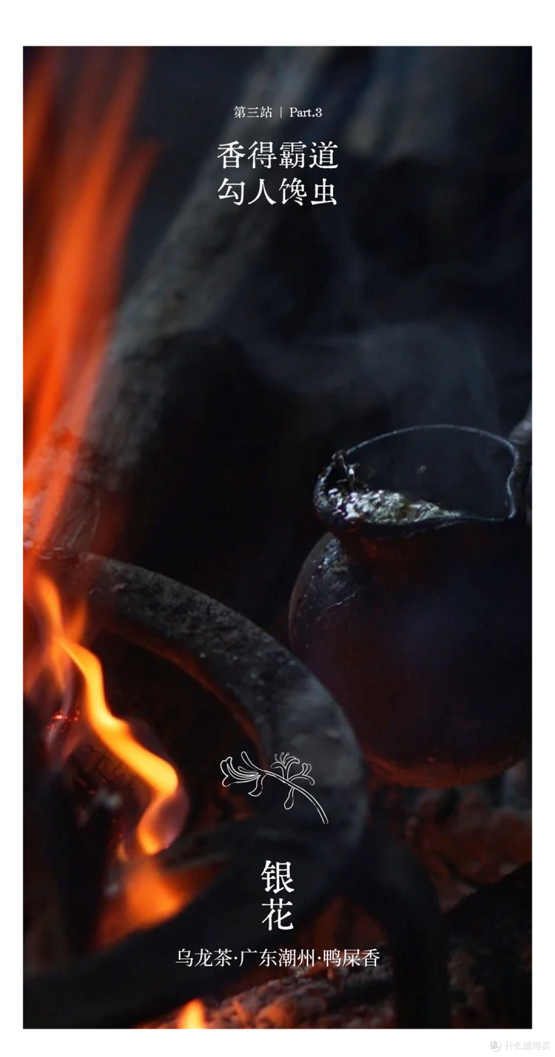 风味游，游八方