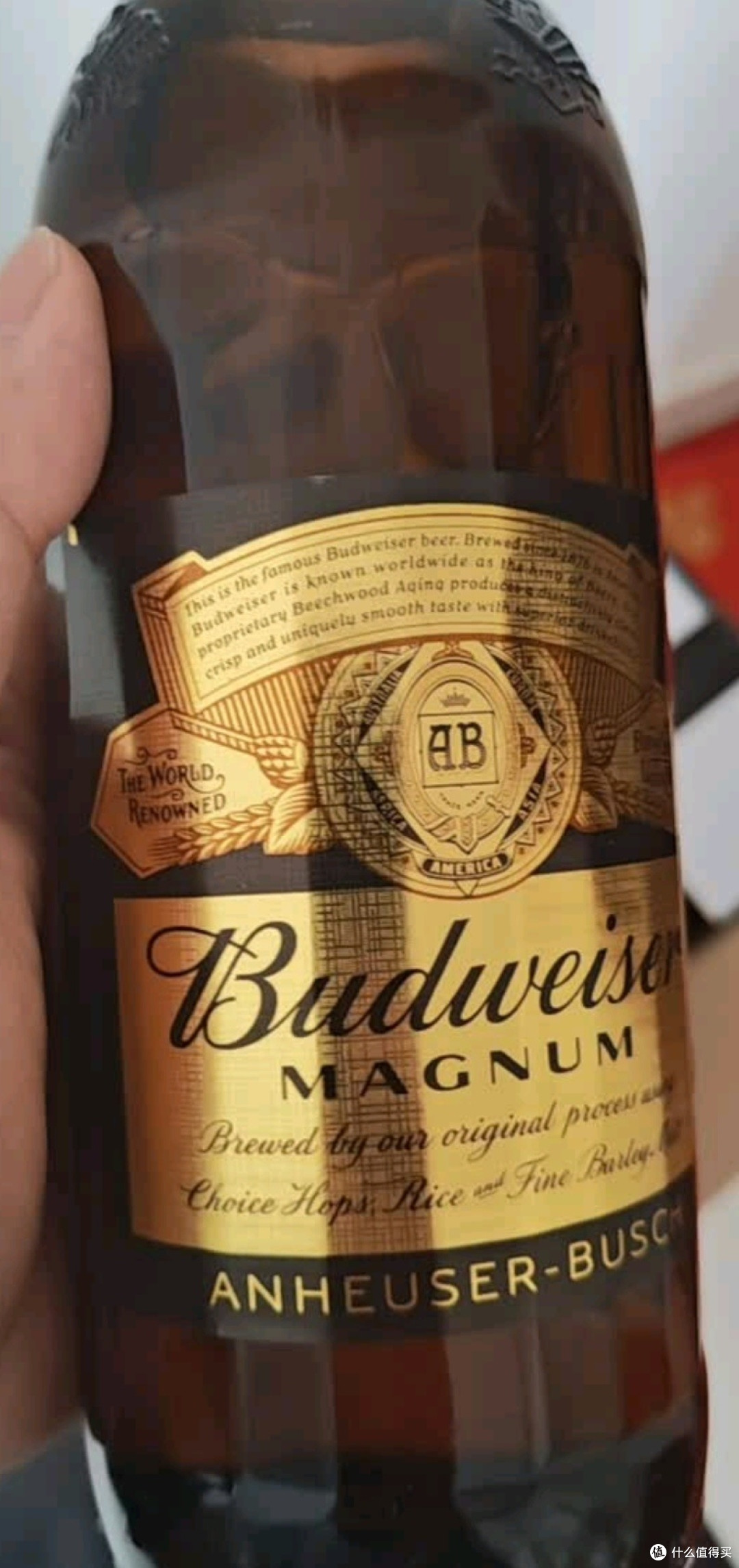 百威黑金啤酒：精酿时光里的醇厚之约