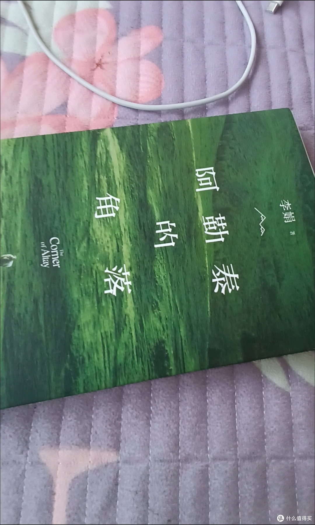 李娟作品阿勒泰散文随笔向日葵地电视剧同迟子建也是冬天也是春天