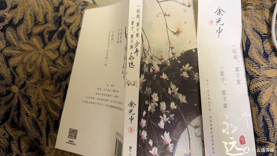 一眨眼算不算少年一辈子算不算永远 文坛泰斗余光中散文