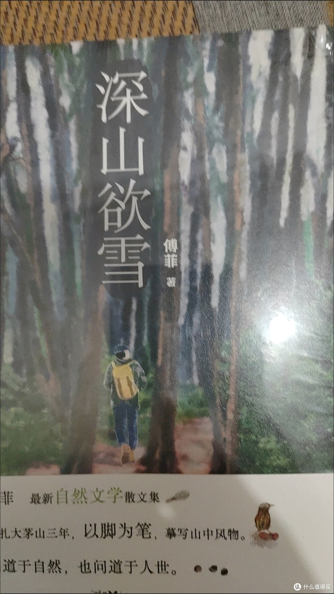 深山欲雪 百花散文奖 三毛散文奖获得者傅菲最新自然文学作品集