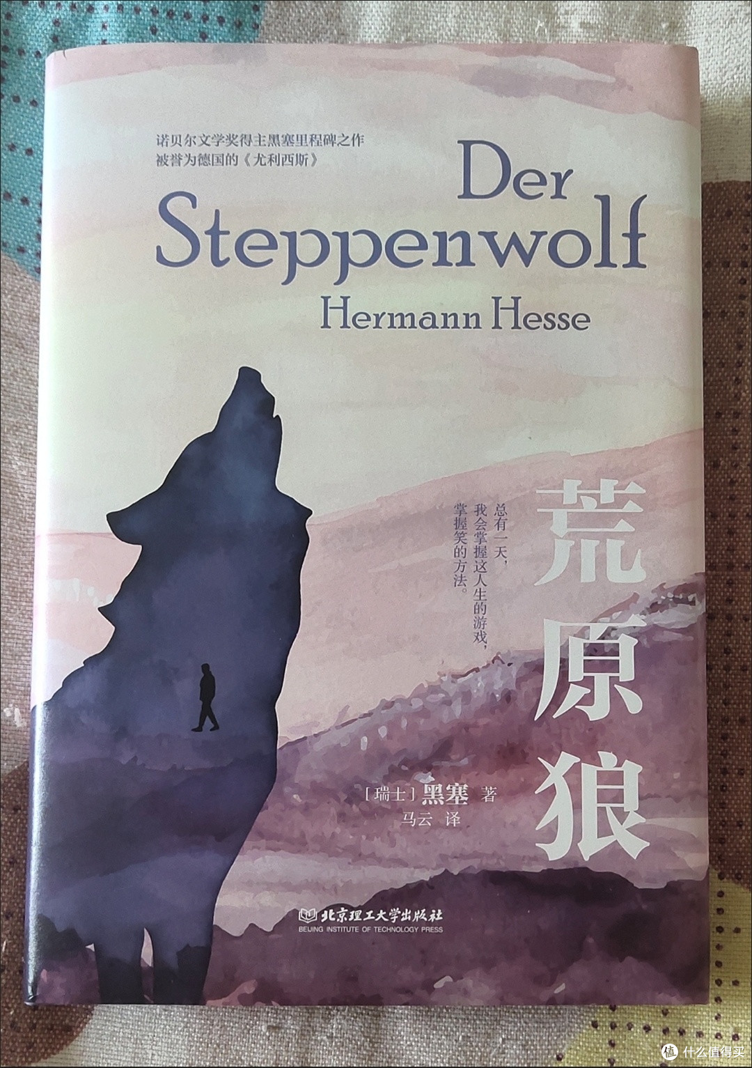 荒原狼黑塞著 外国现当代文学