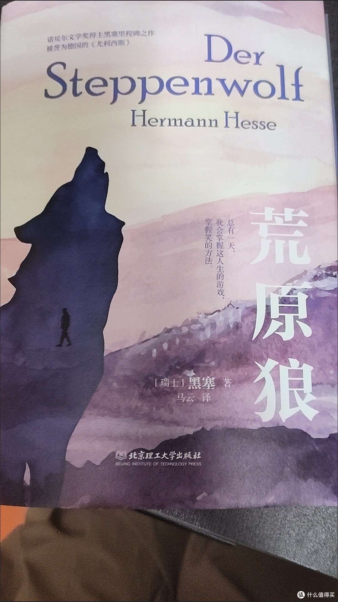 荒原狼黑塞著 外国现当代文学