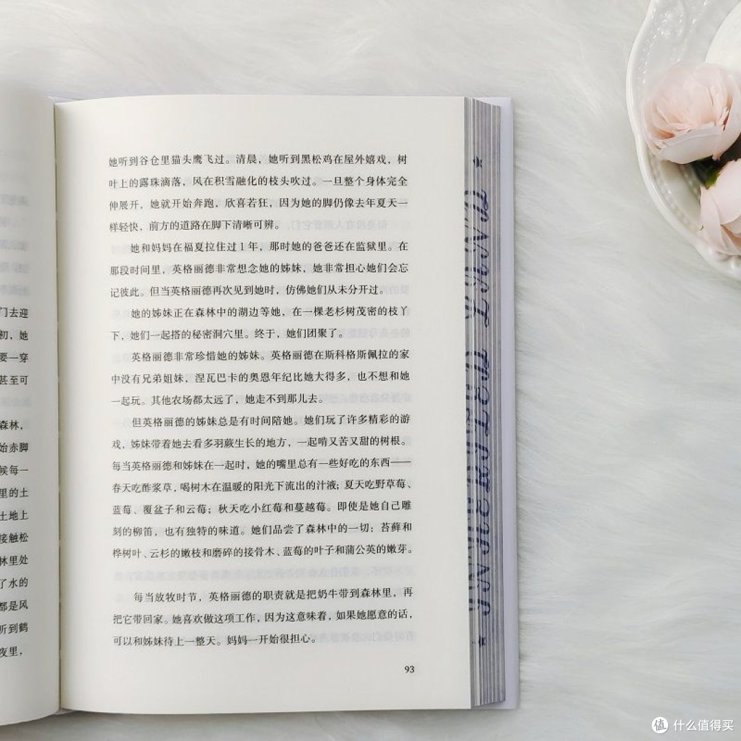 蜉蝣国度:现代生活启示录芬兰版百年孤独精装正版