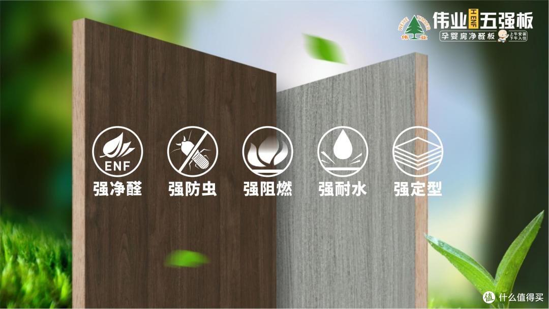 1㎡=300μg甲醛？伟业五强板用无机胶改写家装安全标准