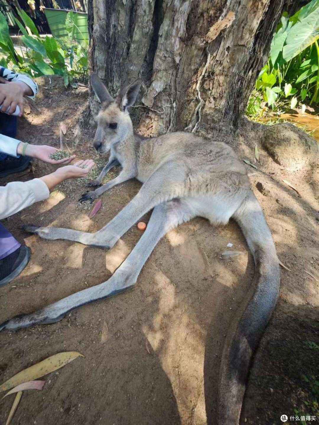 出行遇到过哪些奇葩意外?
