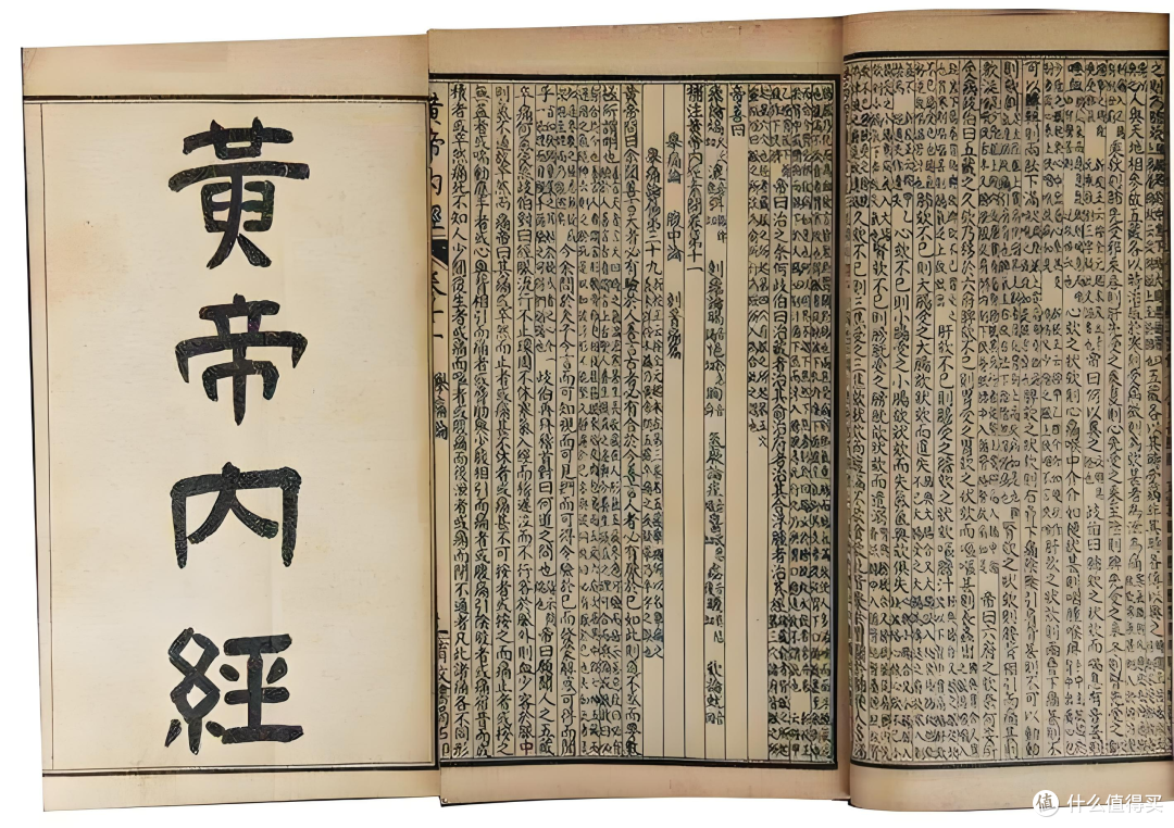 脆皮打工人“续命”新选择——圣元树,为日常滋养再升级
