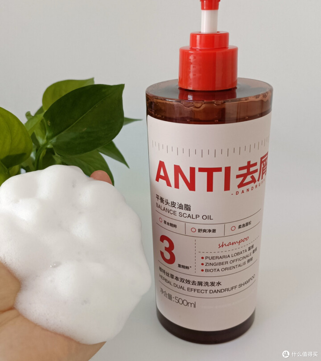 生姜侧柏叶洗发水，控油防脱好帮手
