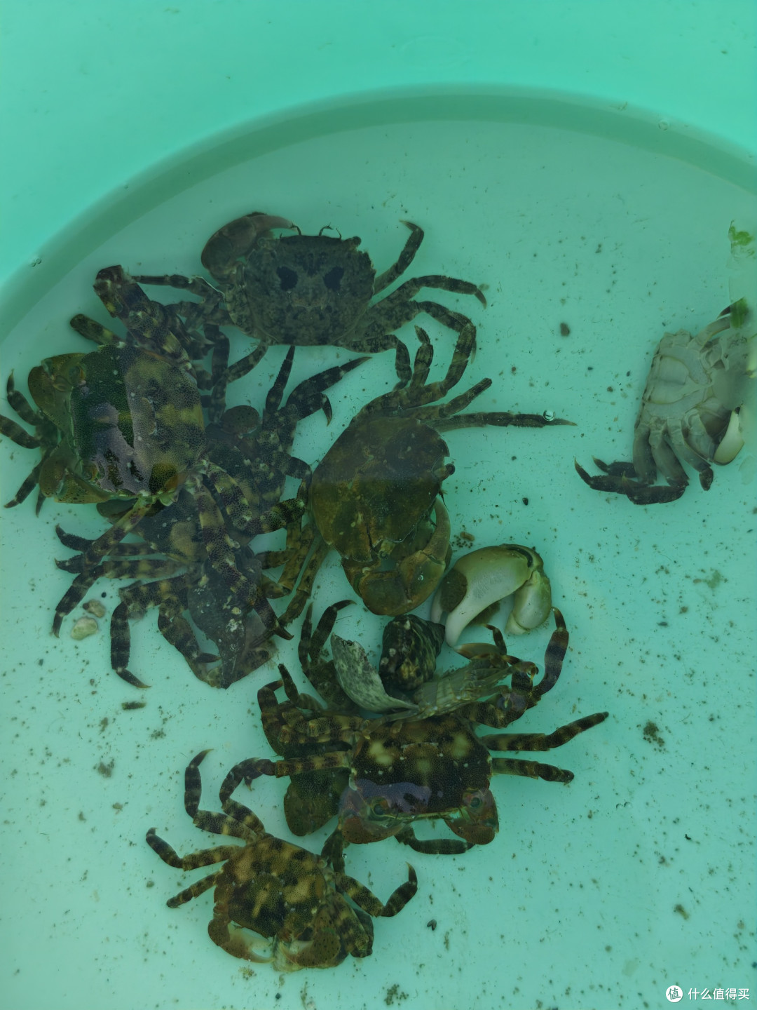 烟台海边遛娃宝藏地
