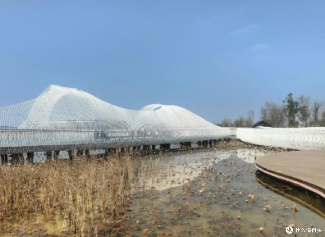 东安湖公园游玩指南:解锁城市绿洲的N种玩法