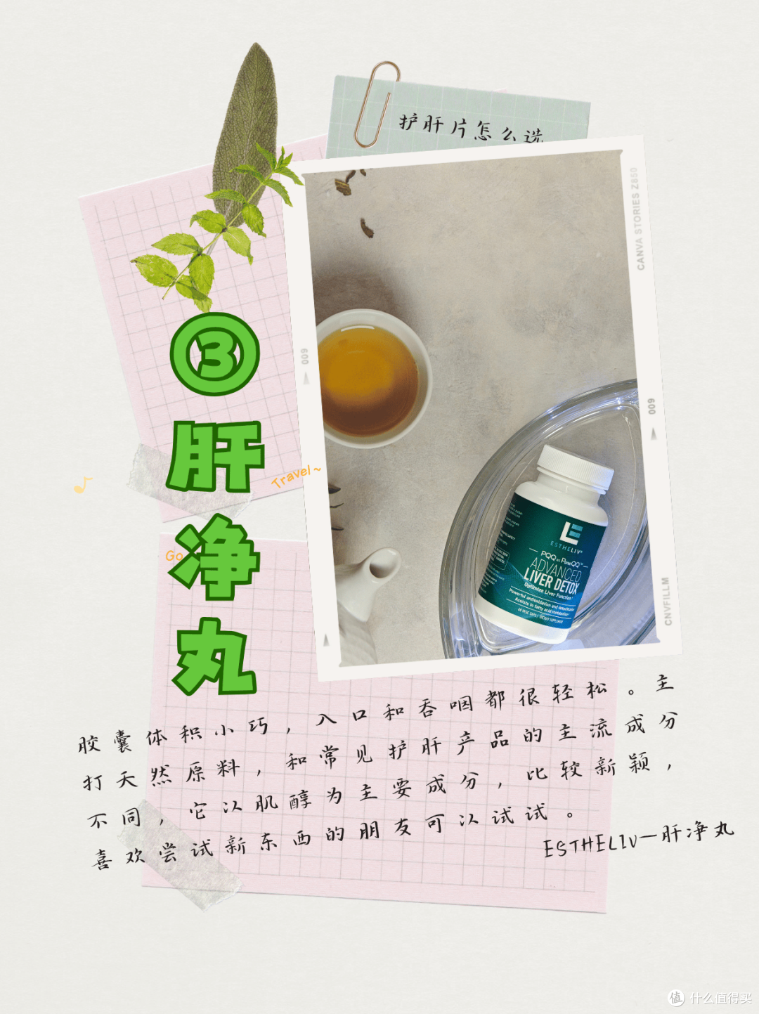 护肝片怎么挑?10大品牌测评揭秘,护肝片哪个牌子好