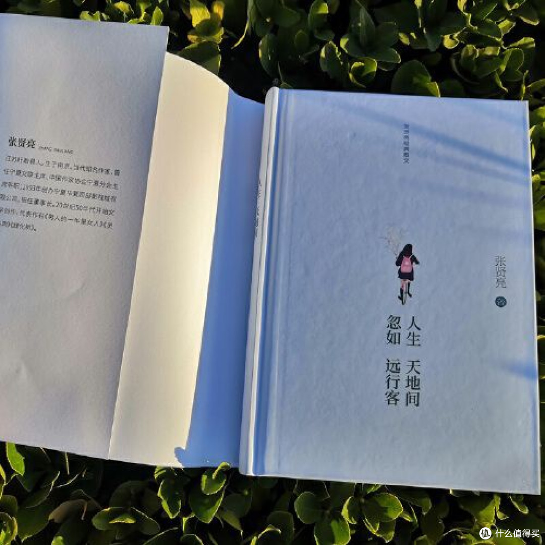 人生天地间 忽如远行客:张贤亮经典散文