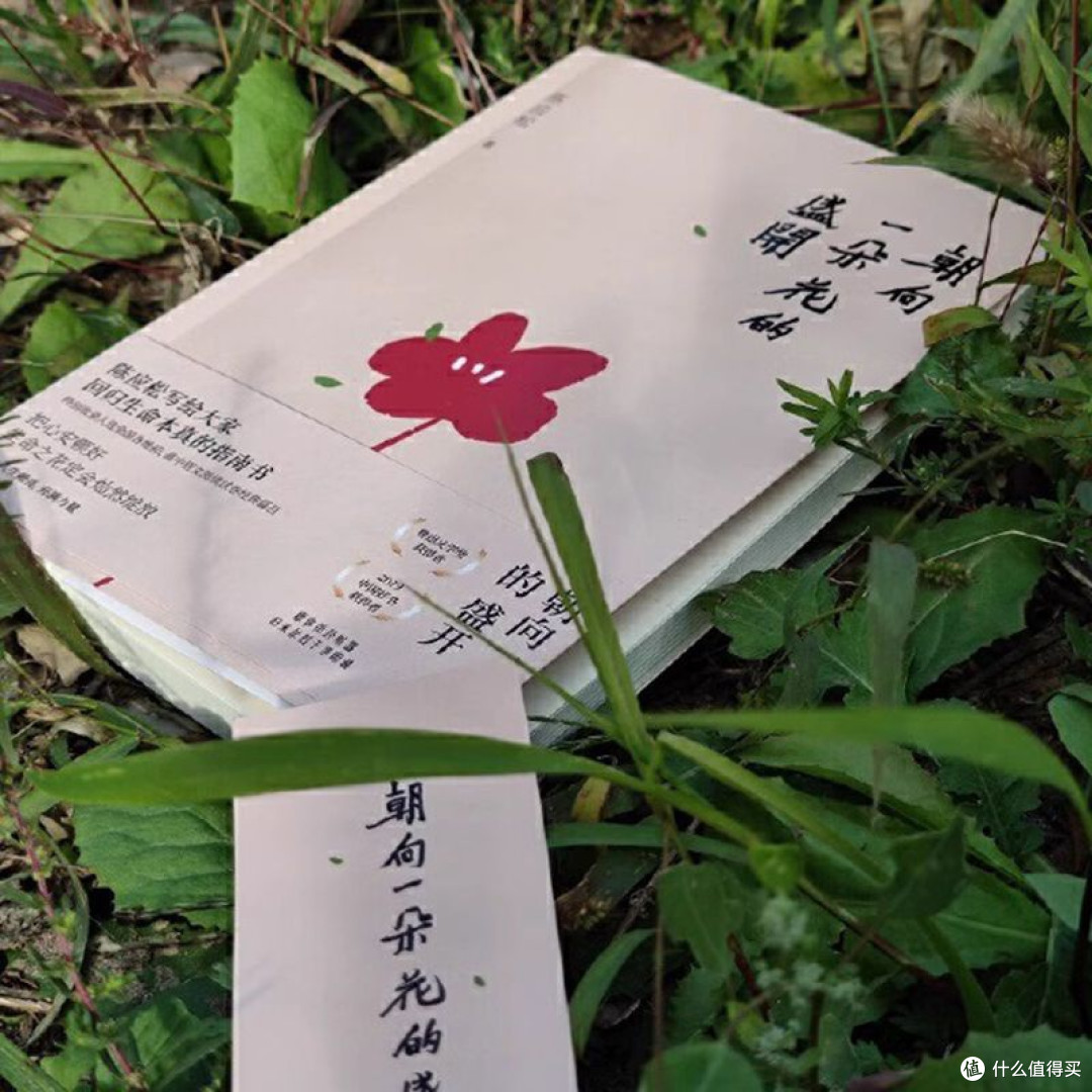 朝向一朵花的盛开 陈应松著 文学散文随笔 文学作品集