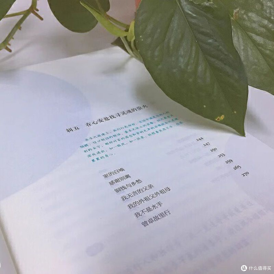 朝向一朵花的盛开 陈应松著 文学散文随笔 文学作品集