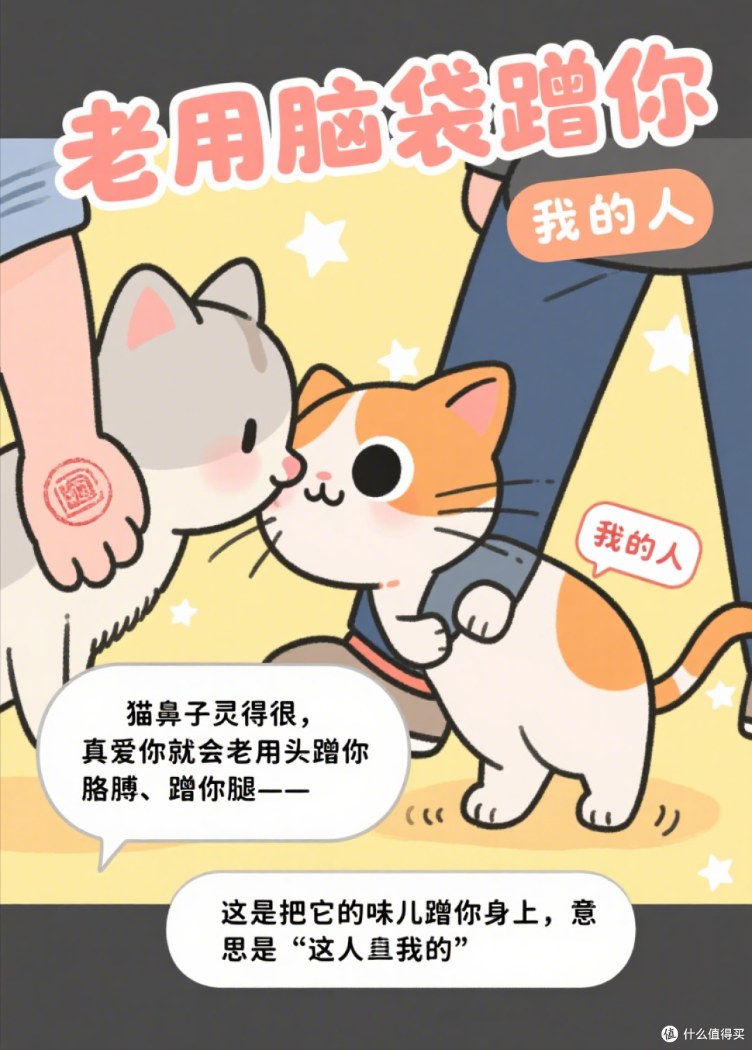 猫咪被养得好不好?看它有没有这10种“表现”!
