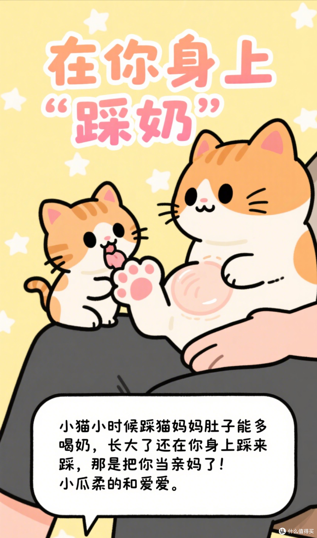 猫咪被养得好不好?看它有没有这10种“表现”!
