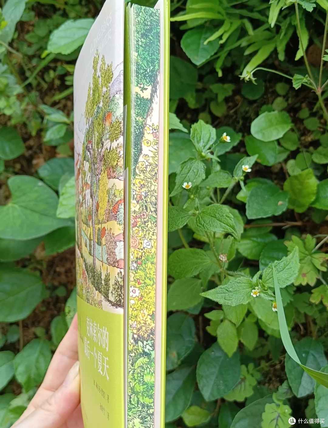 🌿夏日读好书 | 黑塞的夏日绝唱:在炽热中触摸生命的凉意🌞