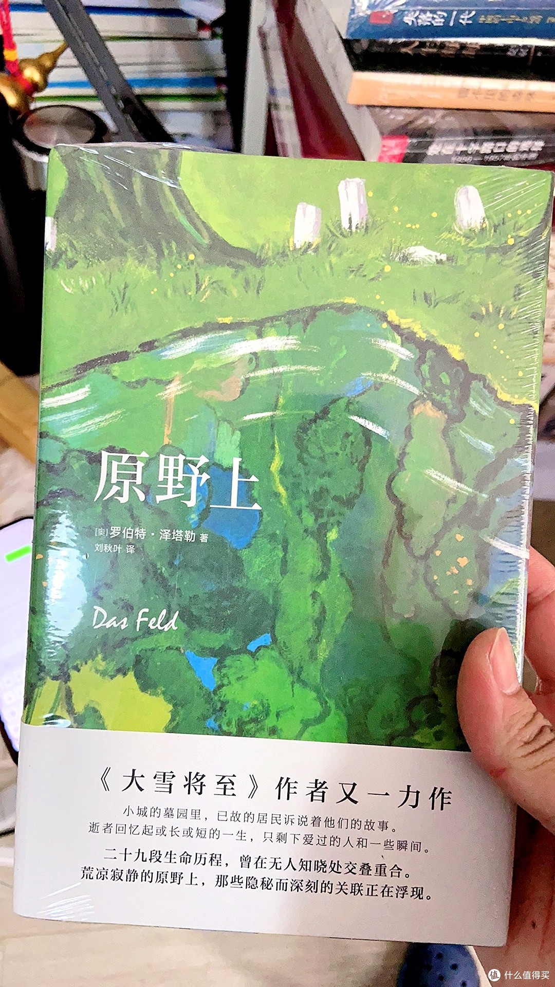 原野上 大雪将至 姊妹篇 罗伯特·泽塔勒 新书 文学小说