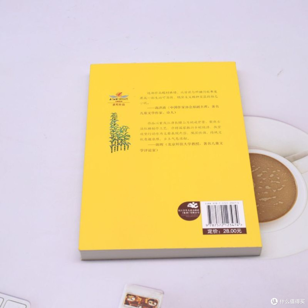 美丽传承·中国现实主义原创儿童小说系列·长腰山,十八锅