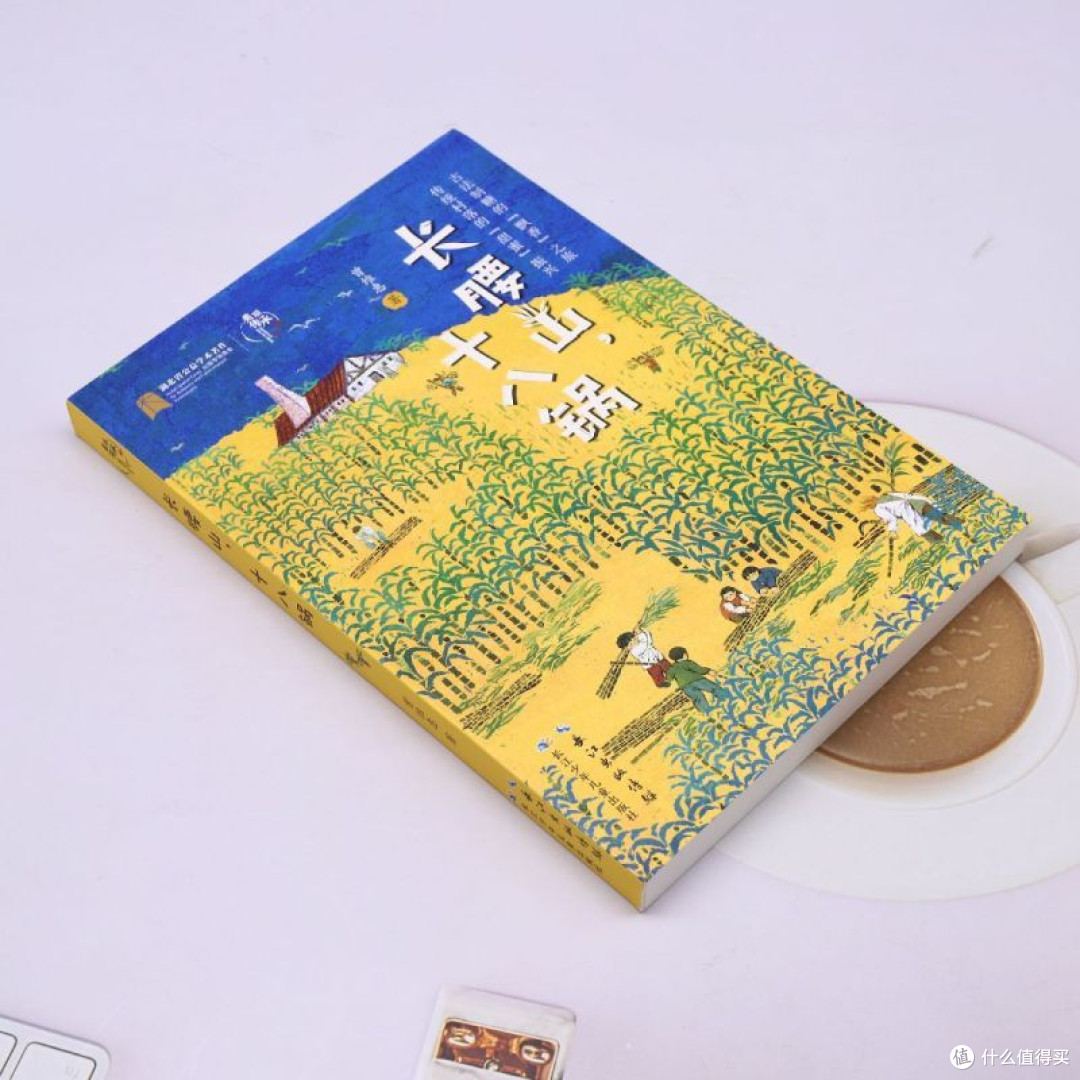 美丽传承·中国现实主义原创儿童小说系列·长腰山,十八锅