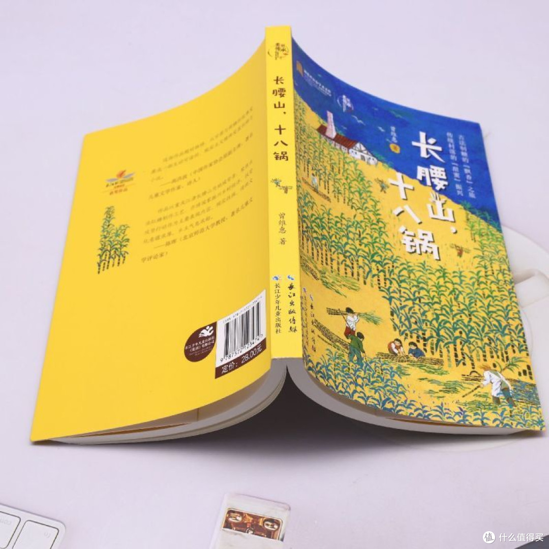 美丽传承·中国现实主义原创儿童小说系列·长腰山,十八锅