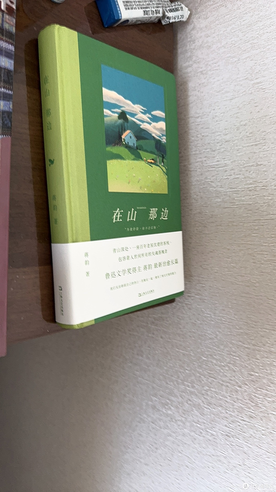 在山那边(随机签名本。鲁迅文学奖得主蒋韵最新治愈长篇。