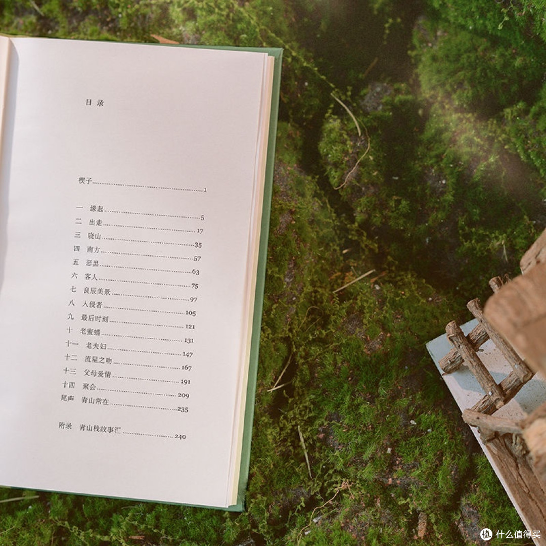 在山那边(随机签名本。鲁迅文学奖得主蒋韵最新治愈长篇。