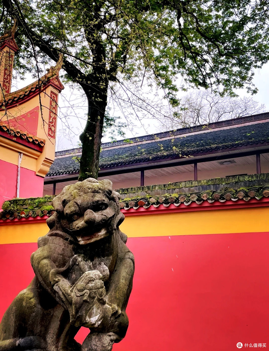 穿越千年文脉,与孩子共赴一场湖湘文化的启蒙之旅