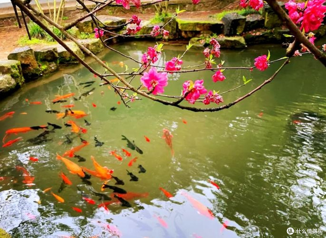 穿越千年文脉，与孩子共赴一场湖湘文化的启蒙之旅