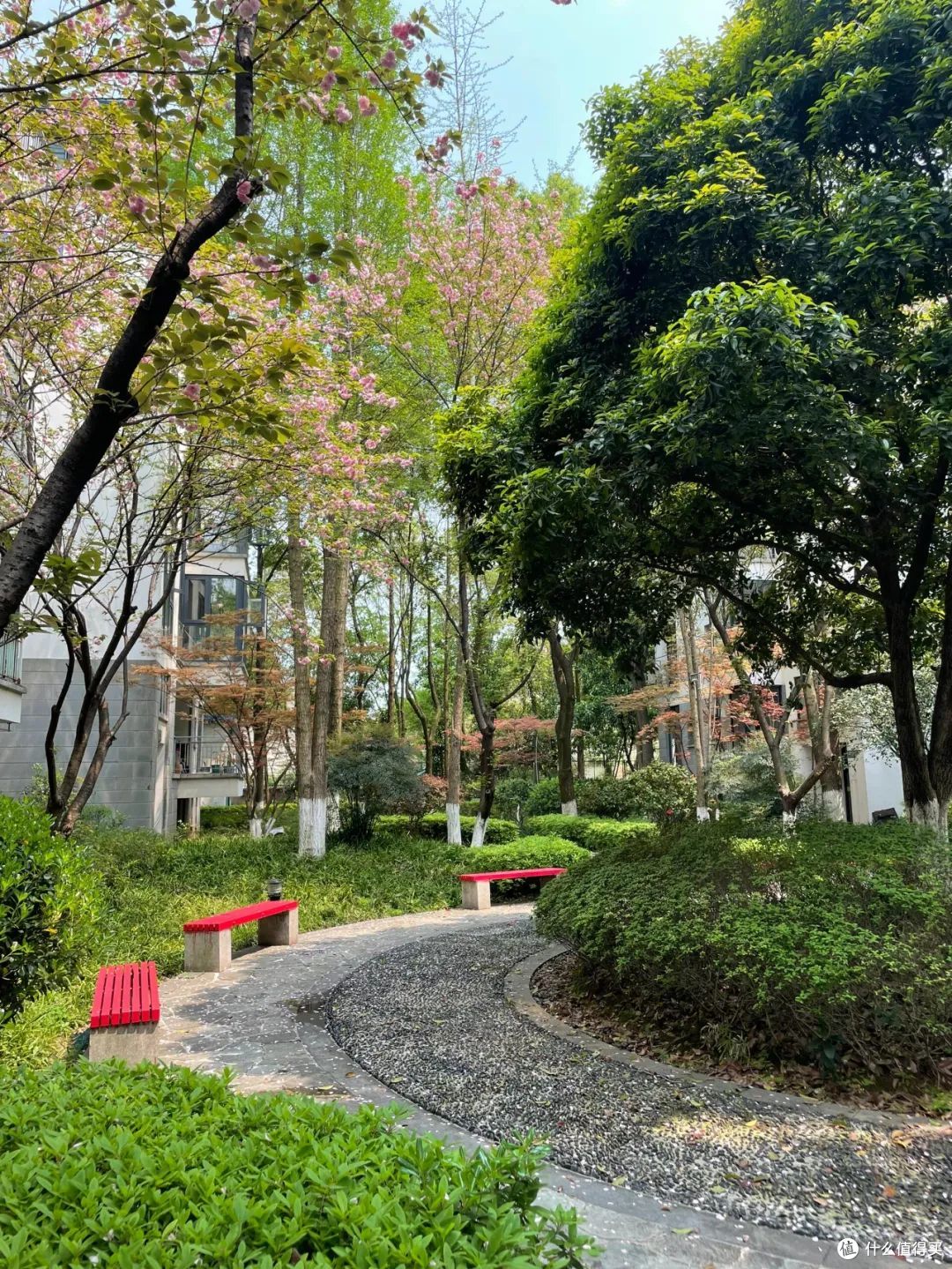 为啥越来越多年轻人选择“老小区”？听完内行人的话，我立马悟了
