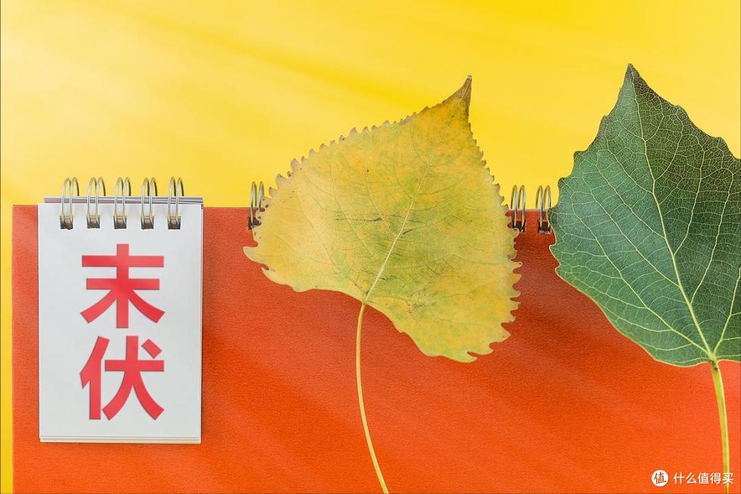 明天末伏,不管有钱没钱,都别忘了3要吃3不准,为秋冬打基础