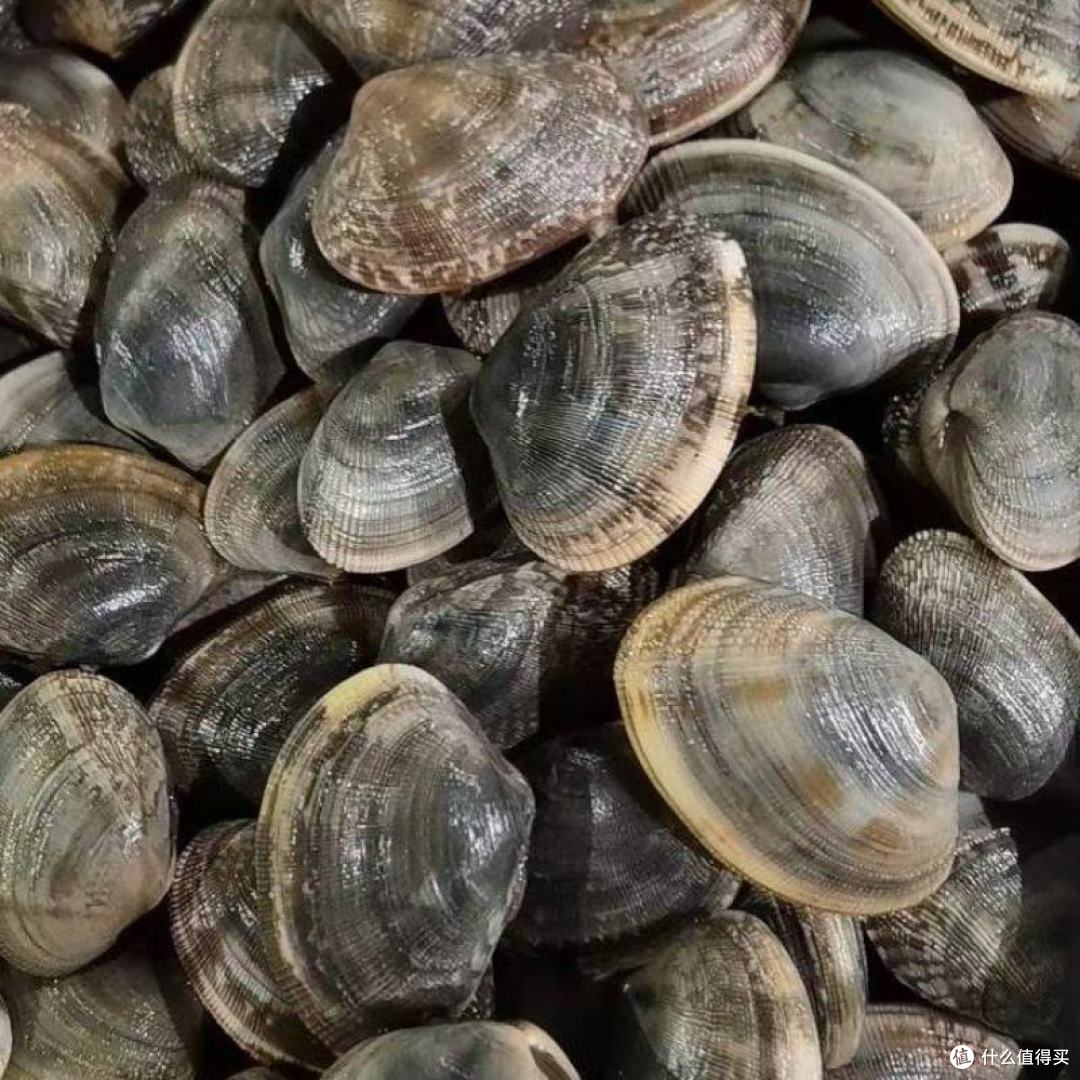 来辽宁,错过这10大海鲜,那就太可惜了