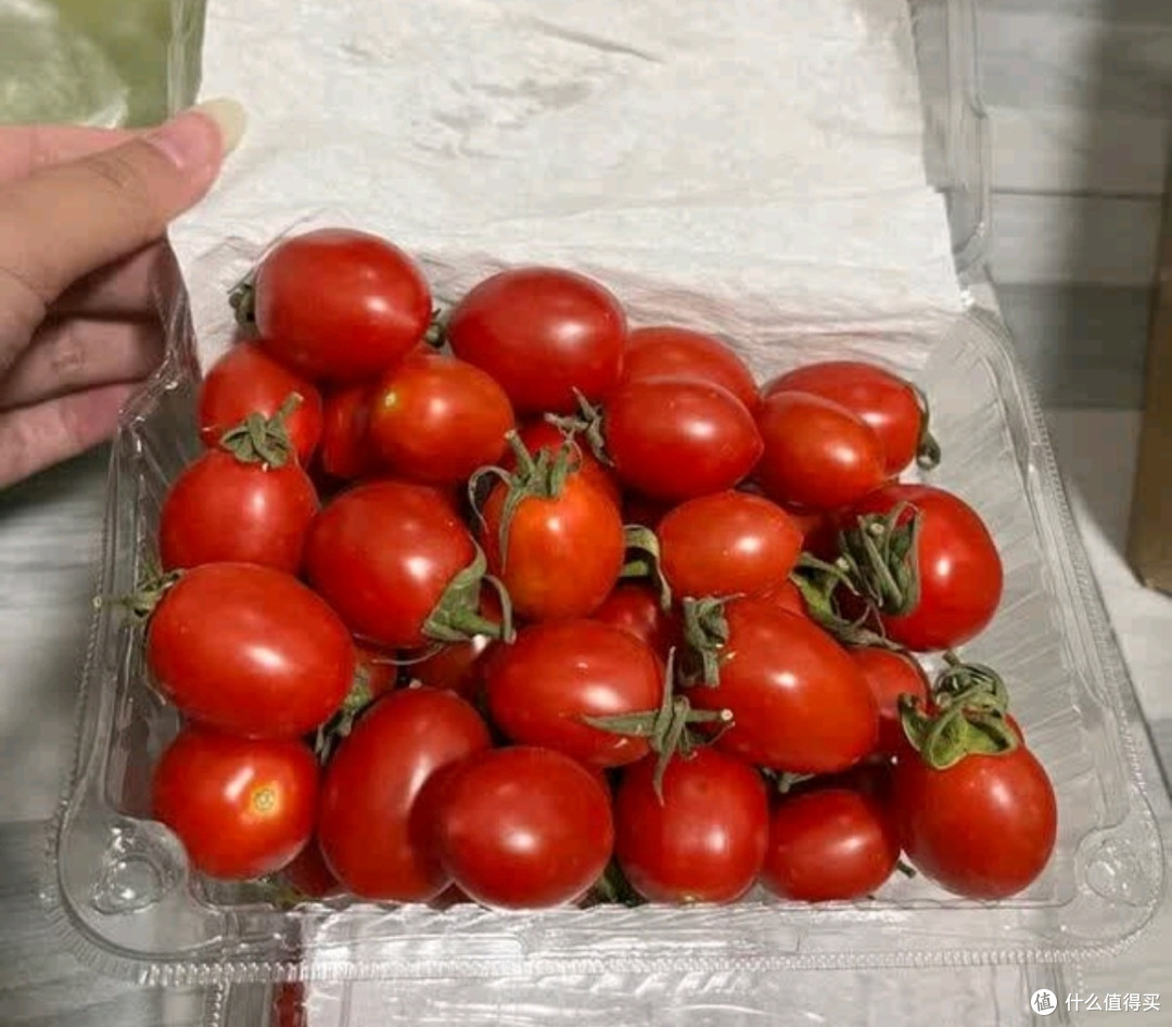 新鲜圣女果小西红柿小番茄新鲜蔬菜生鲜减肥减脂