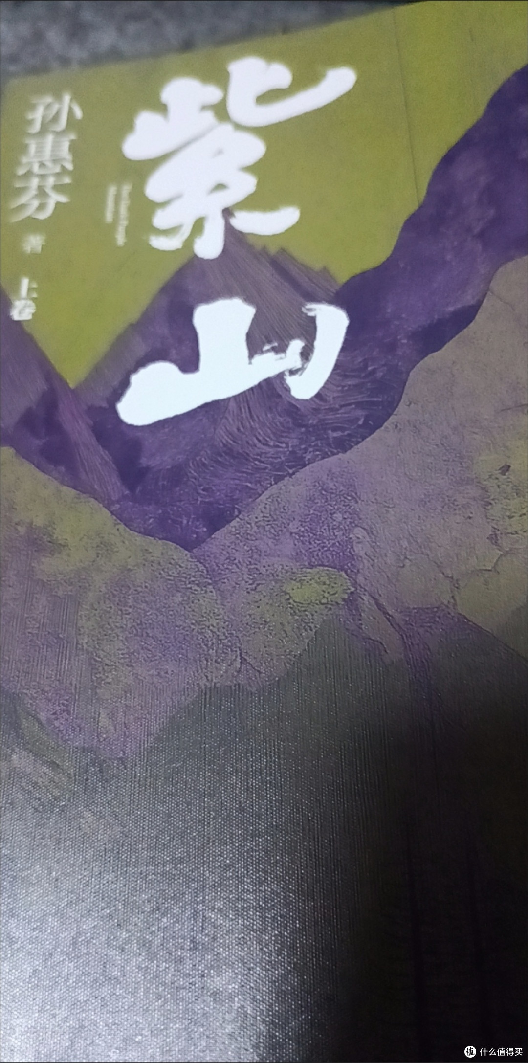 紫山(鲁迅文学奖作家孙惠芬最新长篇力作)