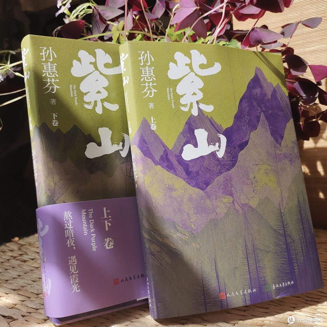 紫山(鲁迅文学奖作家孙惠芬最新长篇力作)