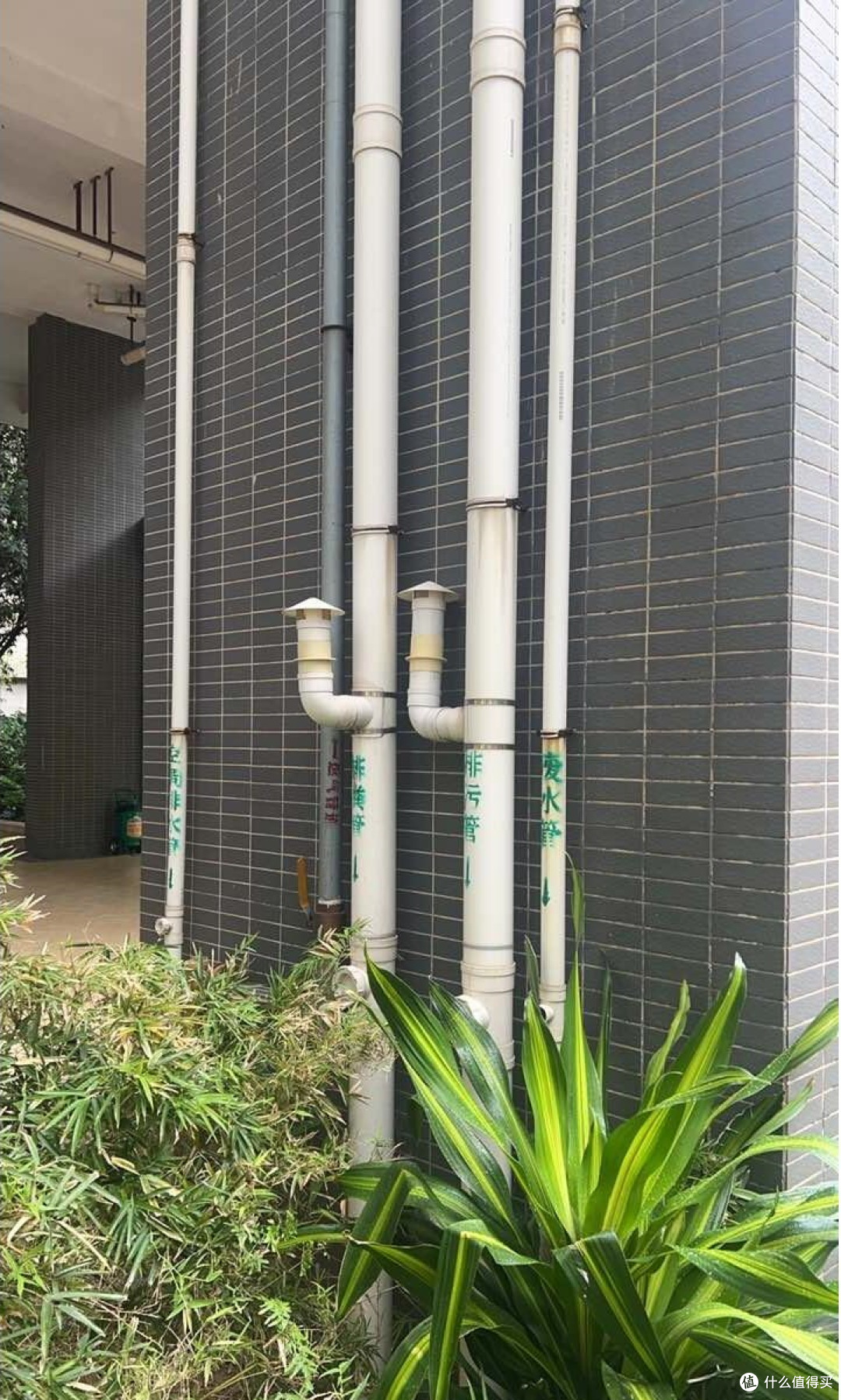 有一种痛苦叫买了2楼,不好住又卖不掉,彻底沦为不动产?