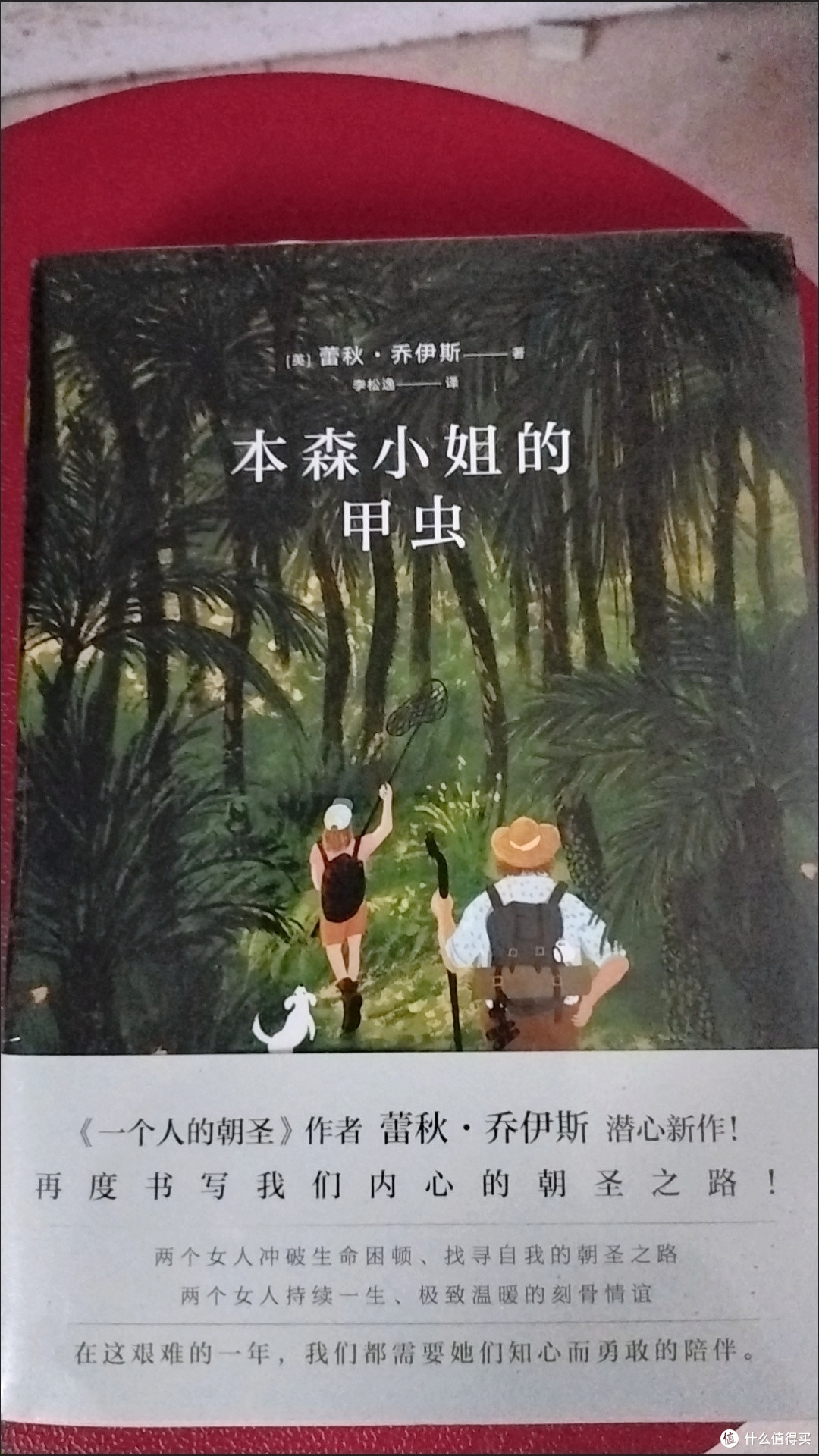 本森小姐的甲虫 蕾秋·乔伊斯著 一个人的朝圣外国文学小说畅销书