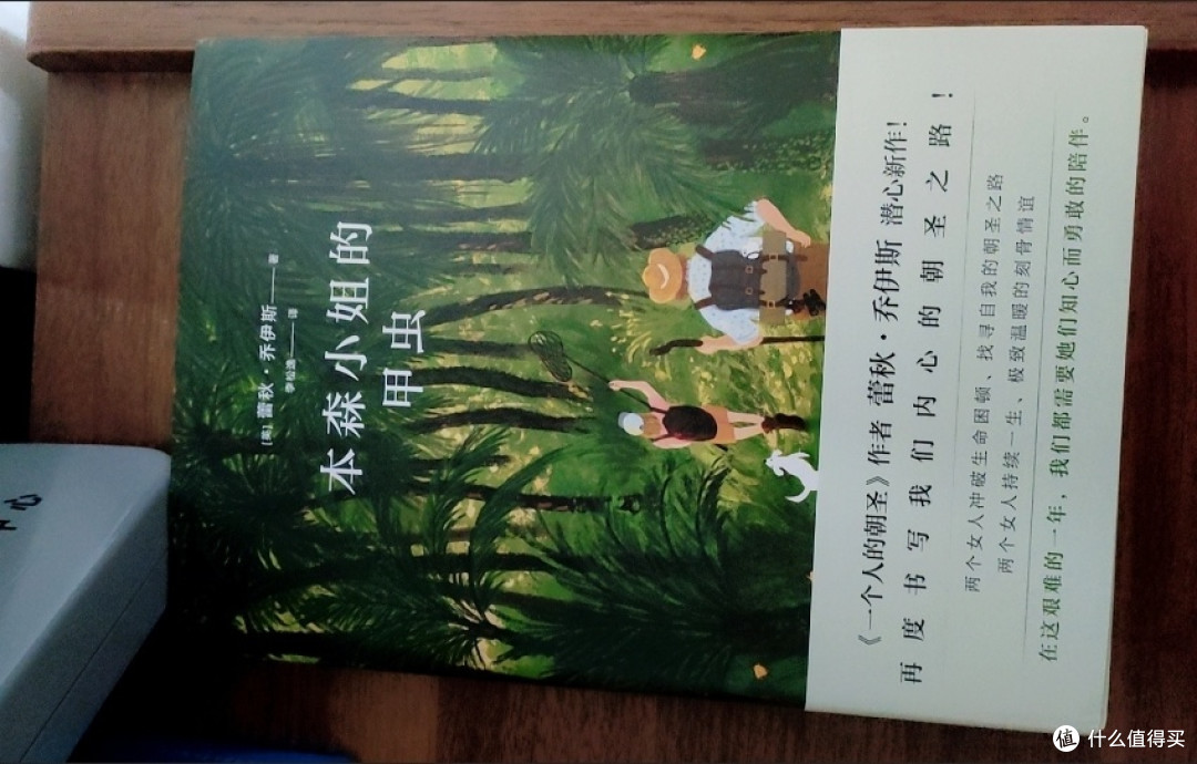 本森小姐的甲虫 蕾秋·乔伊斯著 一个人的朝圣外国文学小说畅销书