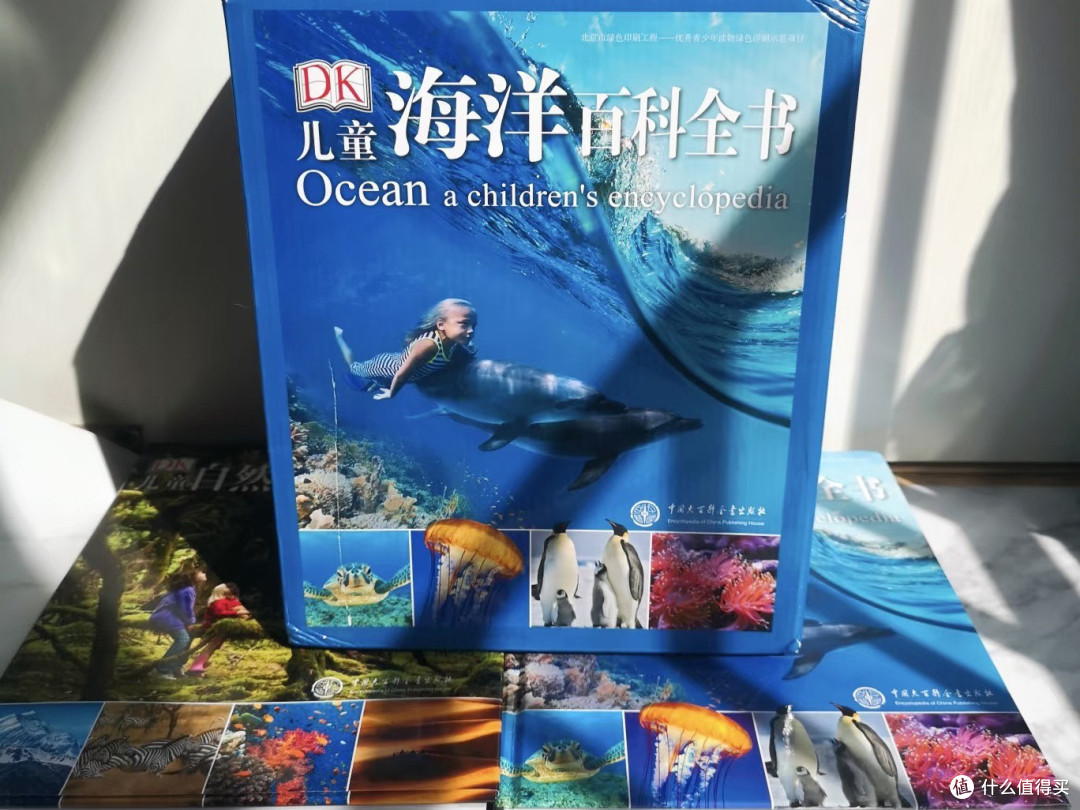 闲鱼捡漏:懂行耐心是关键