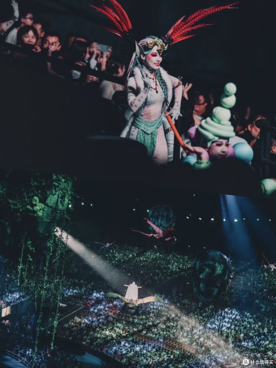 龙之梦大马戏:夏日清凉与欢乐