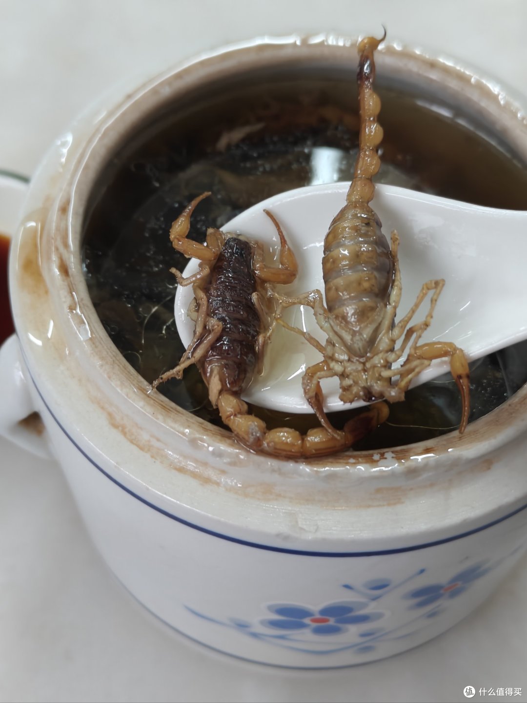 广东这10大“黑暗”料理,我猜你一口吃不下
