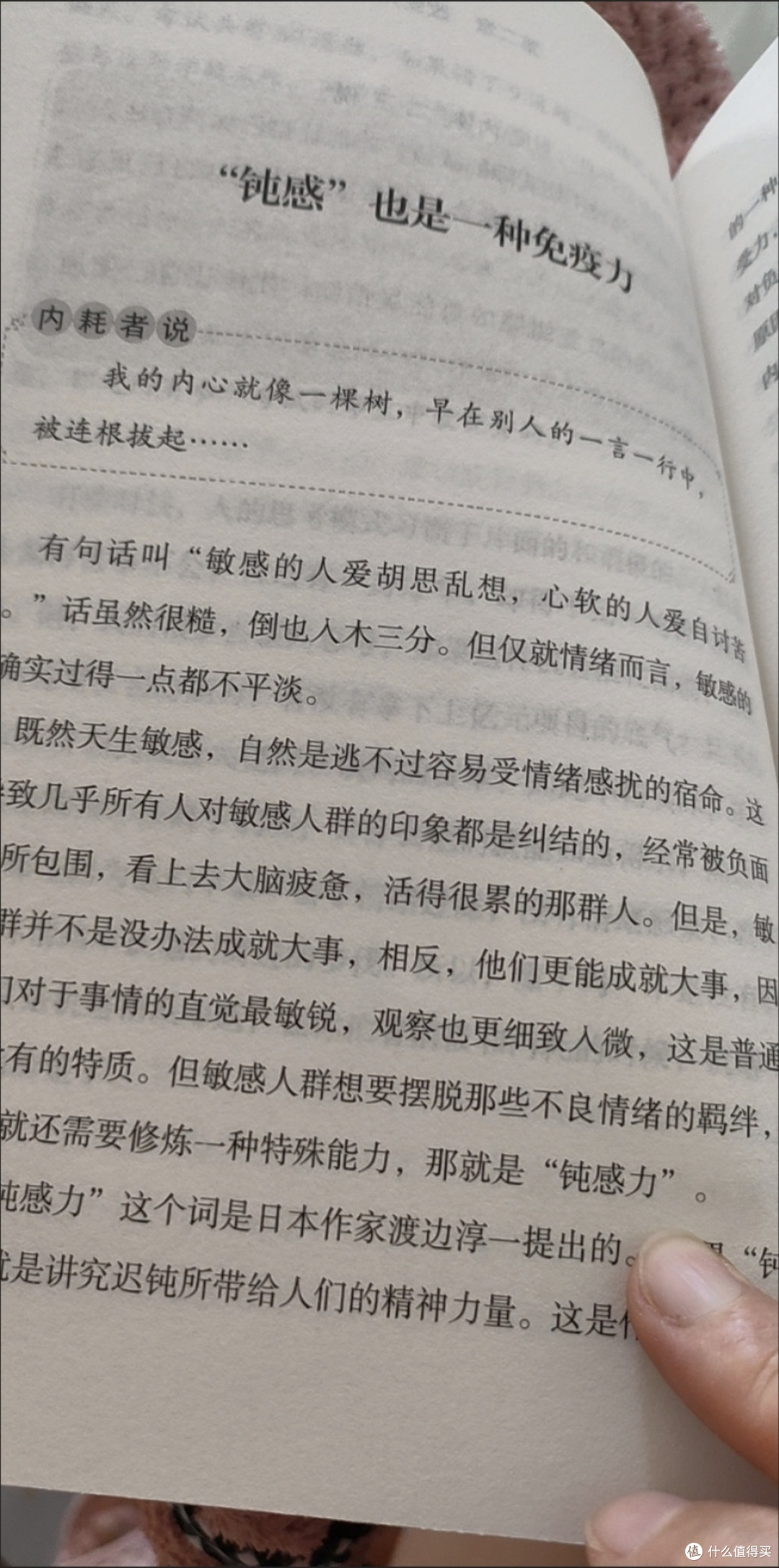 全新上岸-战胜心里内耗告别焦虑温暖治愈自律成功励志激励