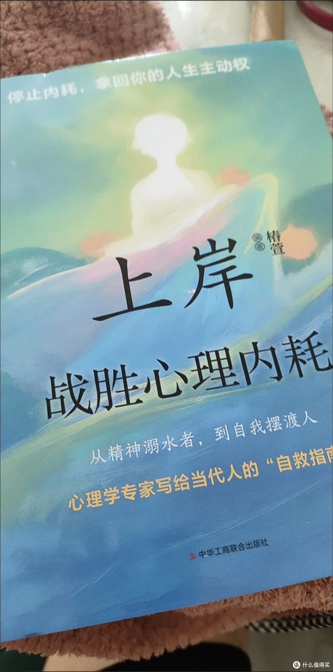 全新上岸-战胜心里内耗告别焦虑温暖治愈自律成功励志激励